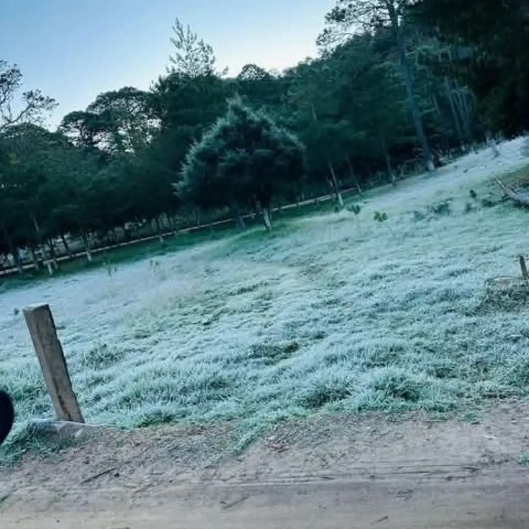 IMG-20241125-WA0003