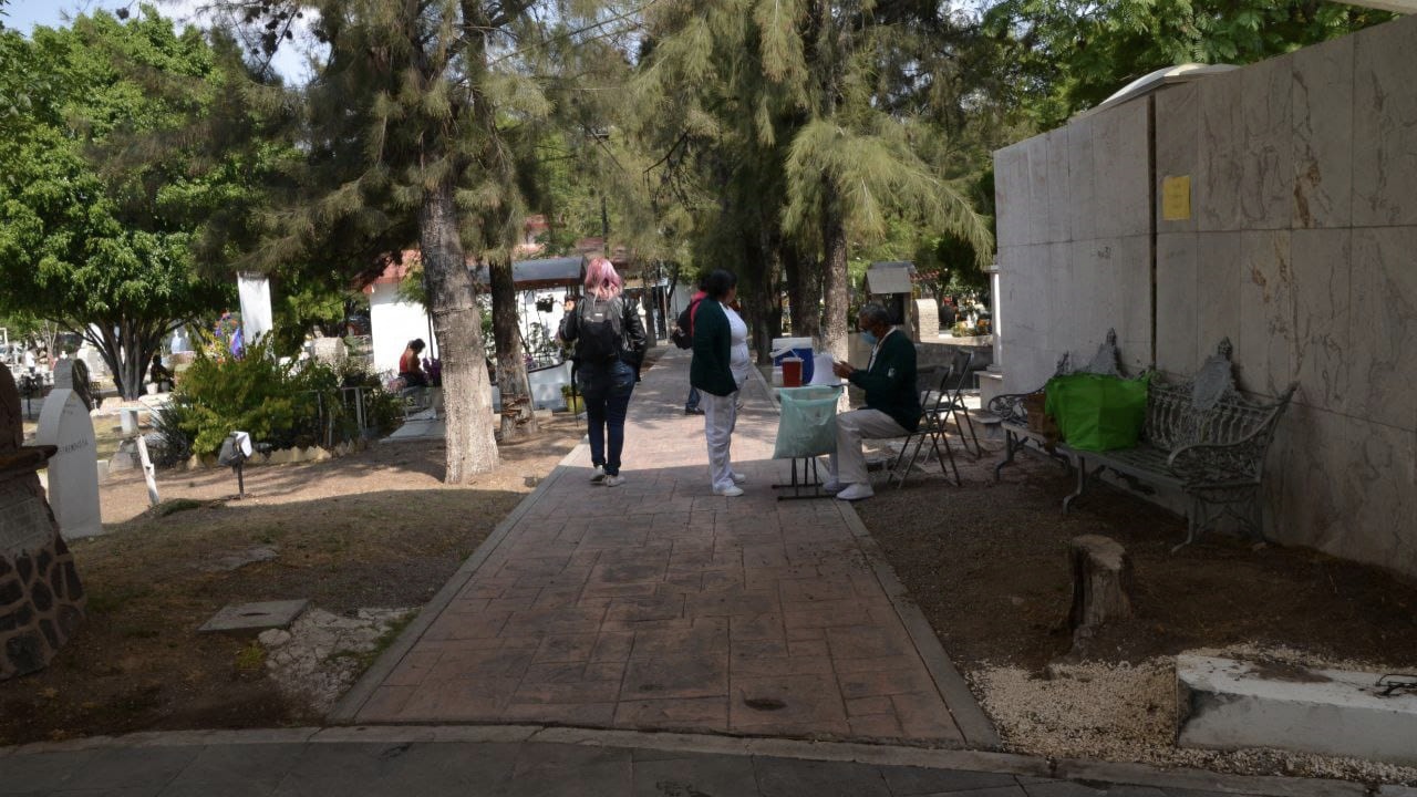 IMG_20241101_142242