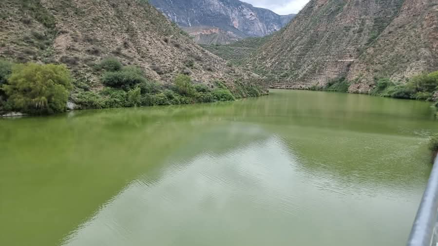 IMG-20250613-WA0013