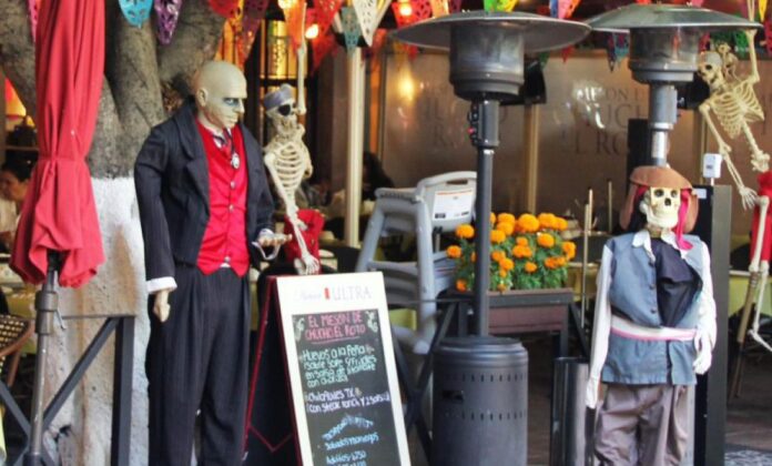 WhatsApp-Image-2024-10-31-at-15.05.53-860x619-1-1160x700