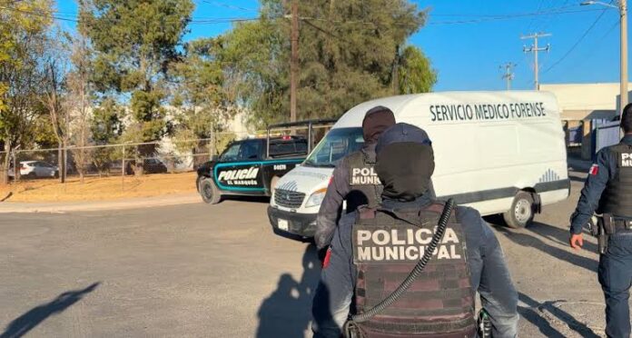 images - 2025-10-27T115924.669