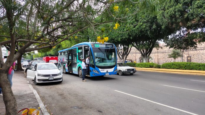 WhatsApp Image 2025-11-05 at 12.26.16 PM (1)