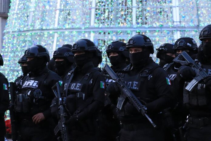 WhatsApp Image 2025-12-09 at 11.33.26 AM