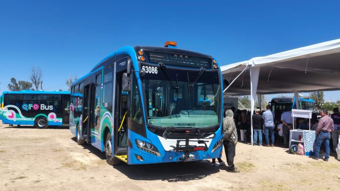 WhatsApp Image 2025-12-11 at 12.49.36 PM