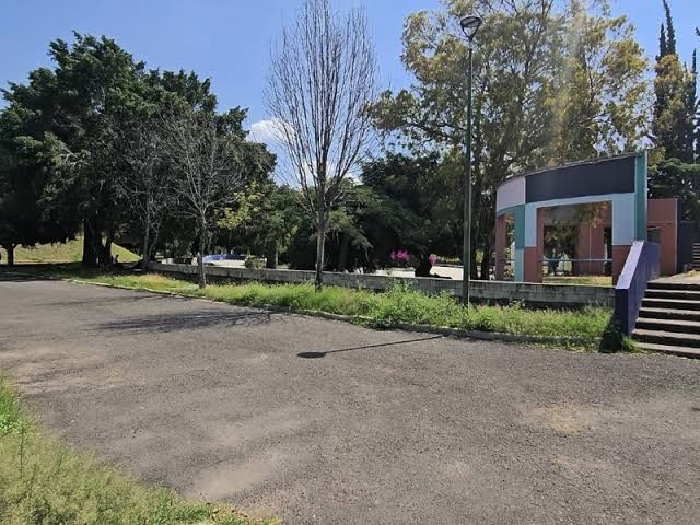 images - 2025-12-11T121801.817