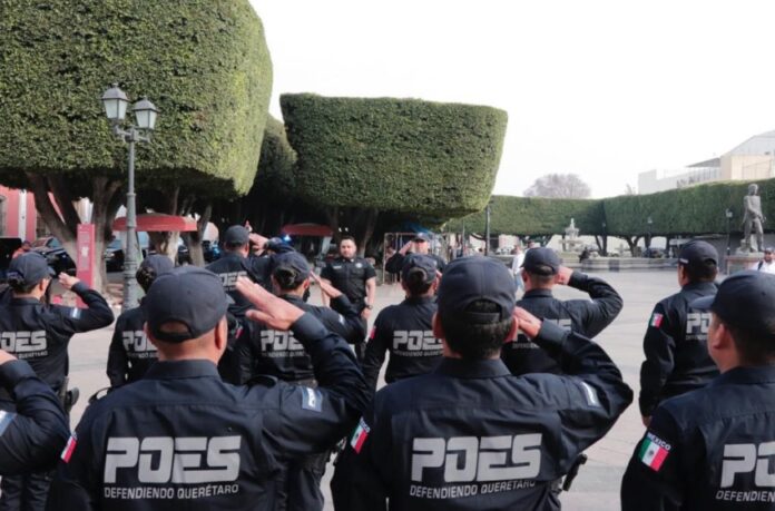 71_273_39994_490536969_PASE_DE_LISTA_POES_3-850x560