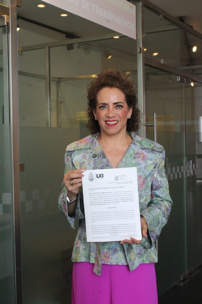 Diputada Adriana Meza 3.jfif