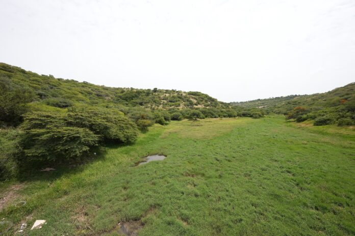 IMG-20260823-WA0050