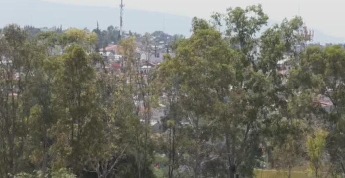 IMG-20260828-WA0043